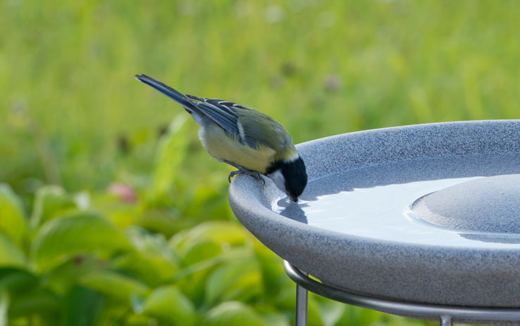 Set Vogeltränke Granicium® mit Ständer DENK Keramik
