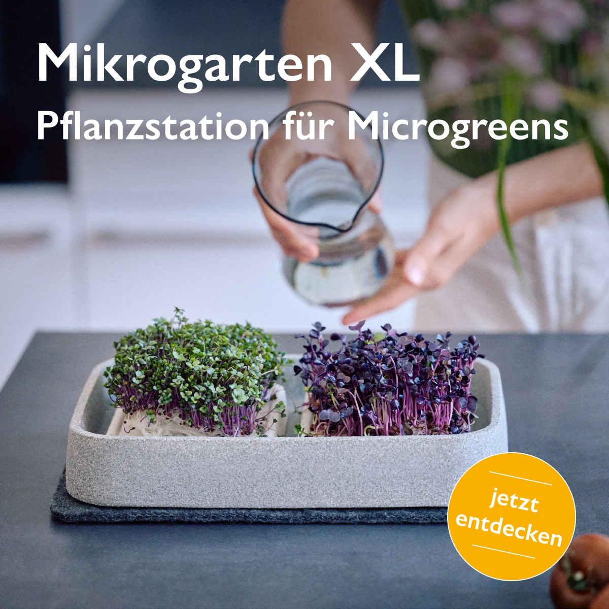 Mikrogarten XL