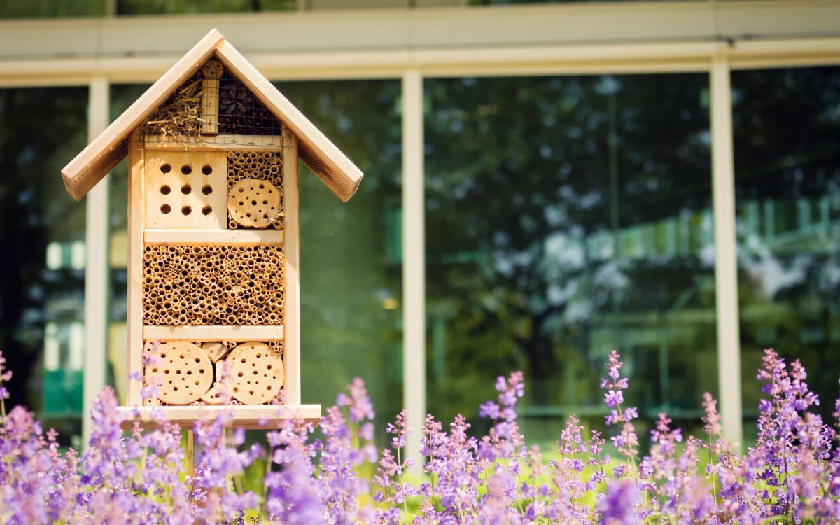 Insektenhotel: Ein Zuhause für Nützlinge im eigenen Garten