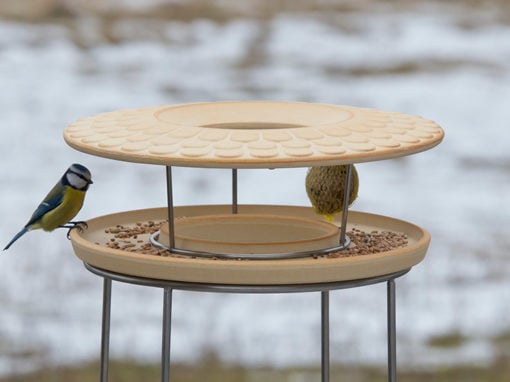 Das Vogelfutterhaus: Perfekt für Vogelbeobachtungen