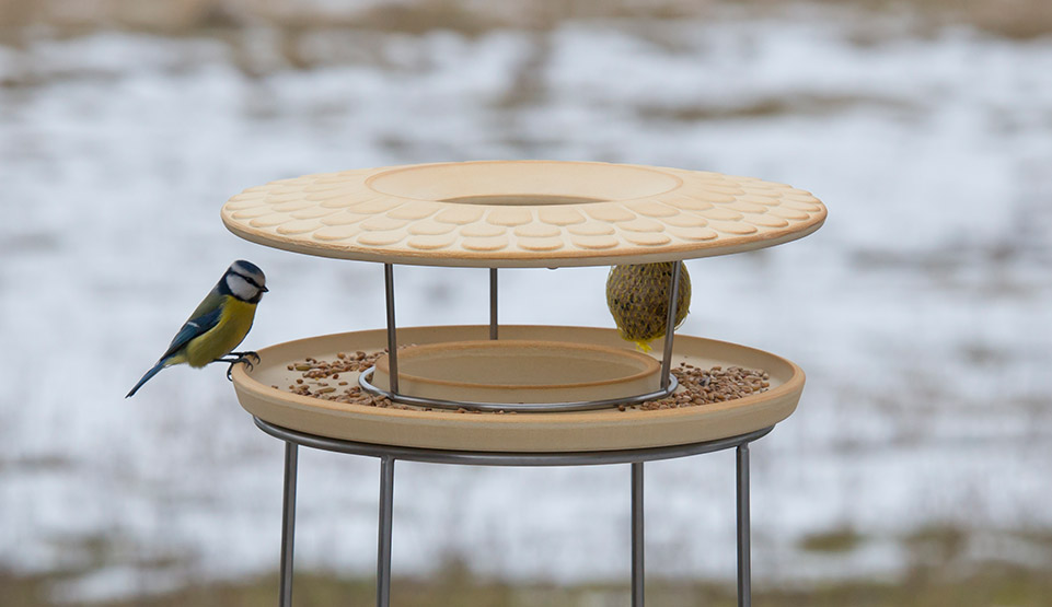 Das Vogelfutterhaus: Perfekt für Vogelbeobachtungen