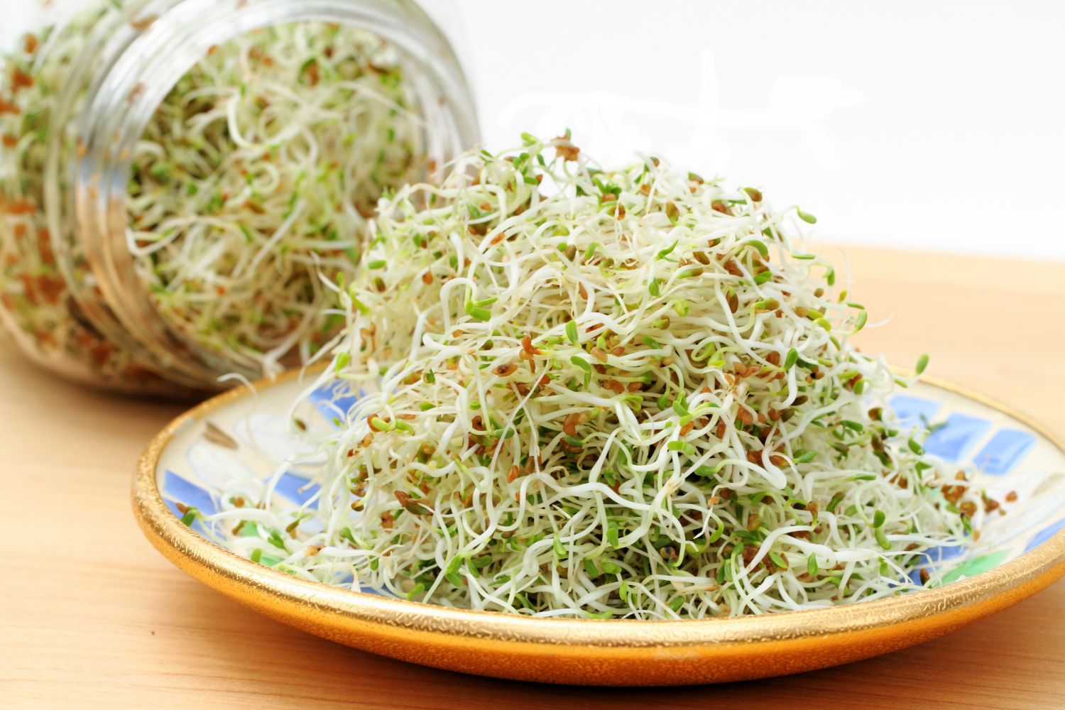 Alfalfa Sprossen: Knackige Kraftpakete für die Küche