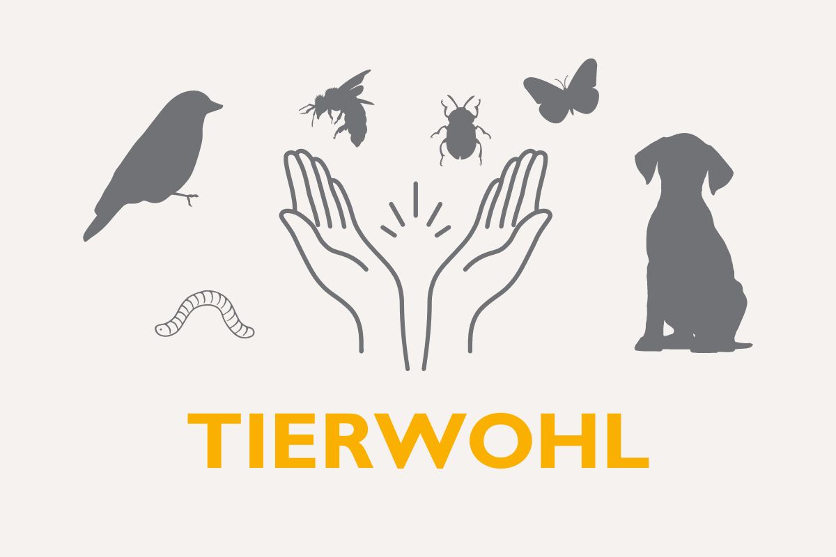 Tierwohl