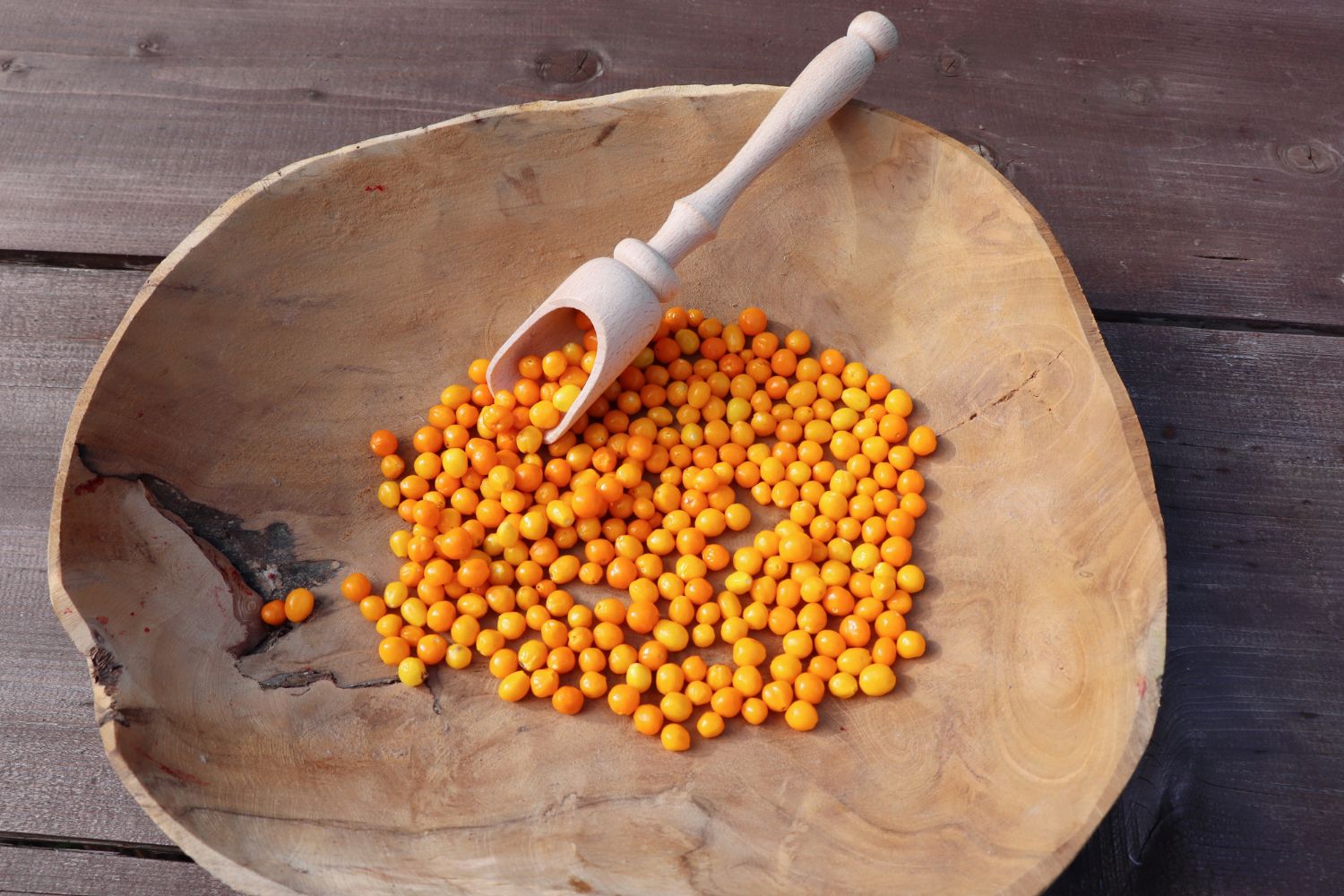 CharapitaChili Guide Anbau, Schärfe & kulinarische Ideen