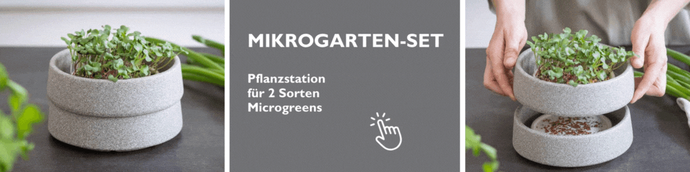 Mikrogarten