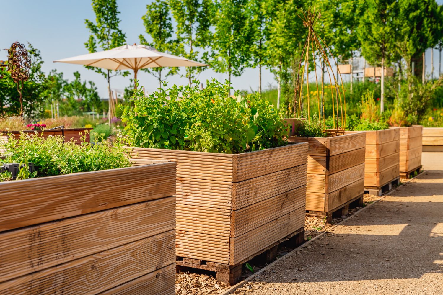 Hochbeet im Garten: Ein Leitfaden für Anfänger