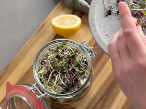 Schichtsalat mit Microgreens Rezept | Einfach & Lecker