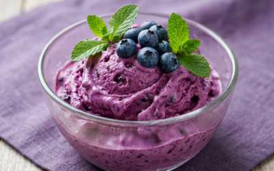 Cremiger Frozen-Wildheidelbeer-Joghurt