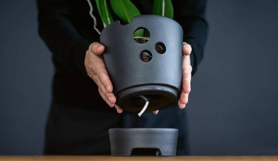 Orchideeënpot