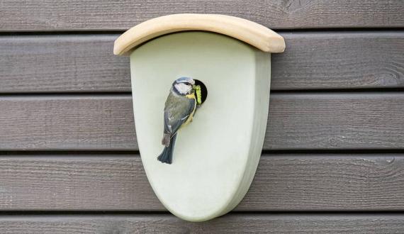 Nesting Box