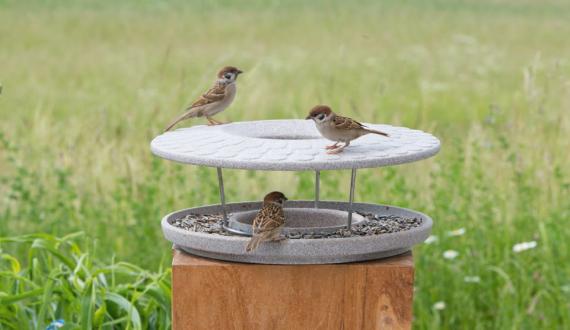 Bird Tables Granicium