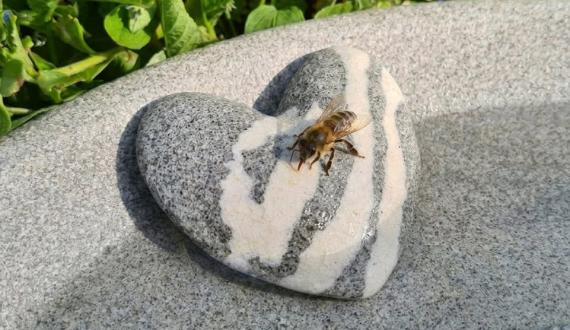 Drinking stone