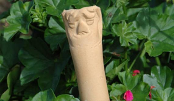 Earwig House