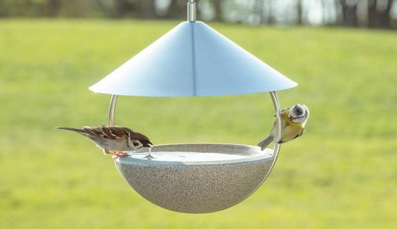 Vogeltränke Around