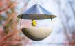 Around Set Bird Table and Bird Bath Granicium®