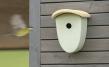 Nesting Box