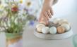 Rock&Roll - Patented egg storage