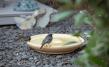 Bird Bath CeraNatur®