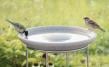 Bird Bath Granicium® with Stand