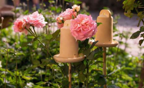 3in1 earwig house, lacewing house and insect watering place