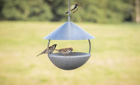 Around Bird Table Granicium®