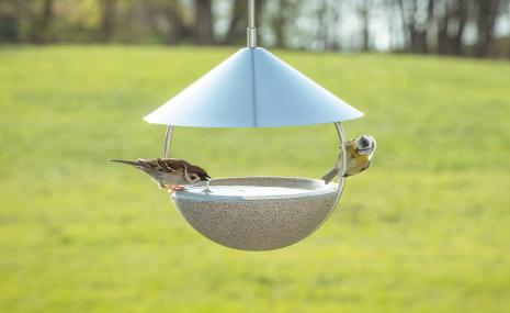 Around Bird Bath Granicium®