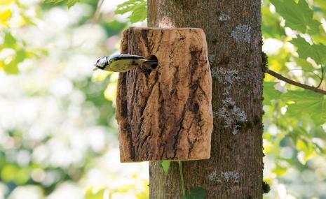 Natural Nesting Box