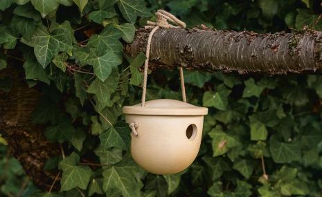 Nesting Holes for Wrens and Tits