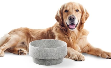 Dog bowl L Granicium