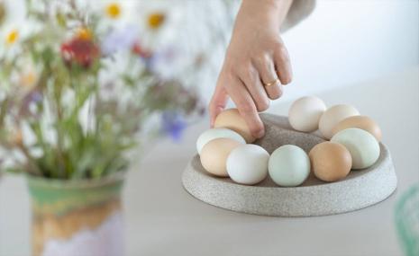 Rock&Roll® - Patented egg storage