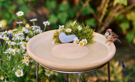 Bird Bath CeraNatur with Stand