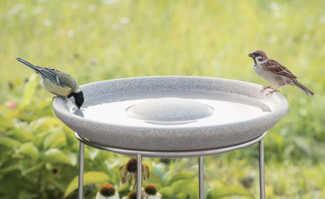Vogeltränke Granicium mit Ständer