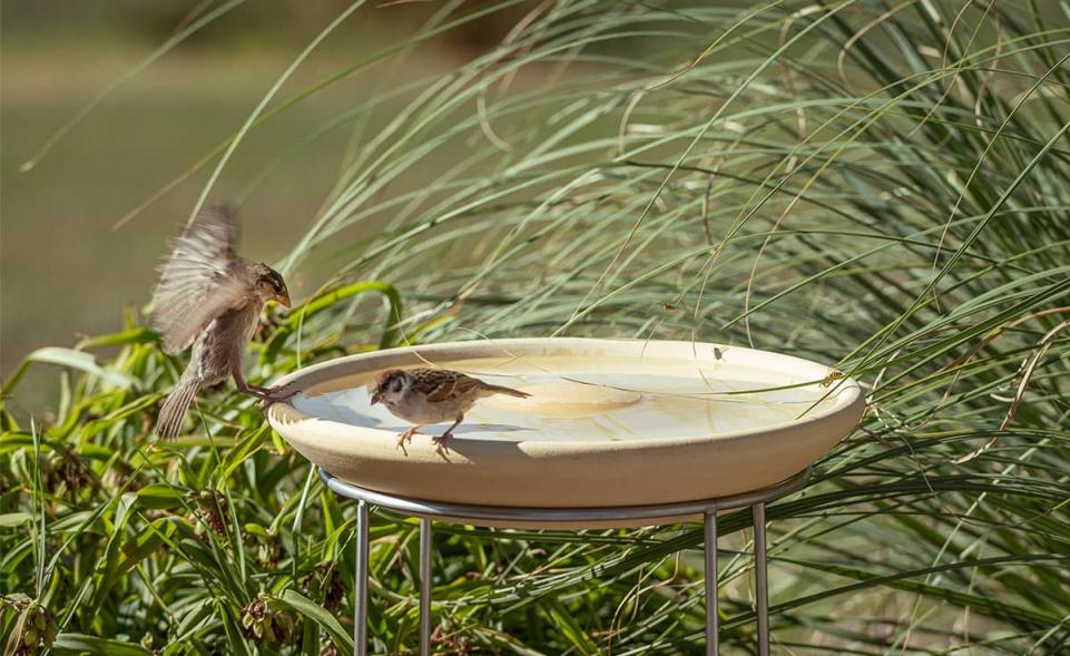 Vogeltränke CeraNatur mit Ständer