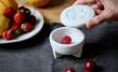 Fruit fly live trap single