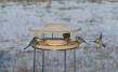 Bird Table CeraNatur®