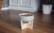 Wooden stand for dog bowl M & L