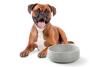 Dog bowl M Granicium