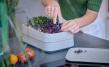 Harvest plate Granicium