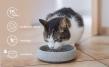 Cat bowl Granicium