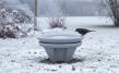 Vogeltränke mit Heizung Granicium