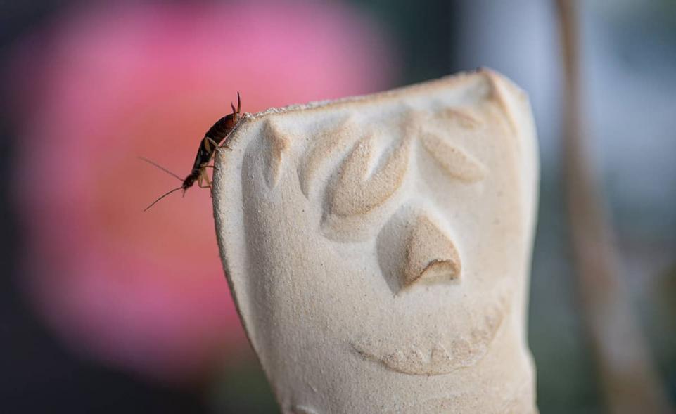 Earwig House Set With 3 Pieces Denk Keramik