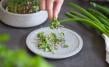 Micro-Garden Granicium