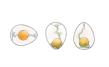 Rock&Roll - Patented egg storage