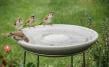 Bird Bath Granicium® with Stand