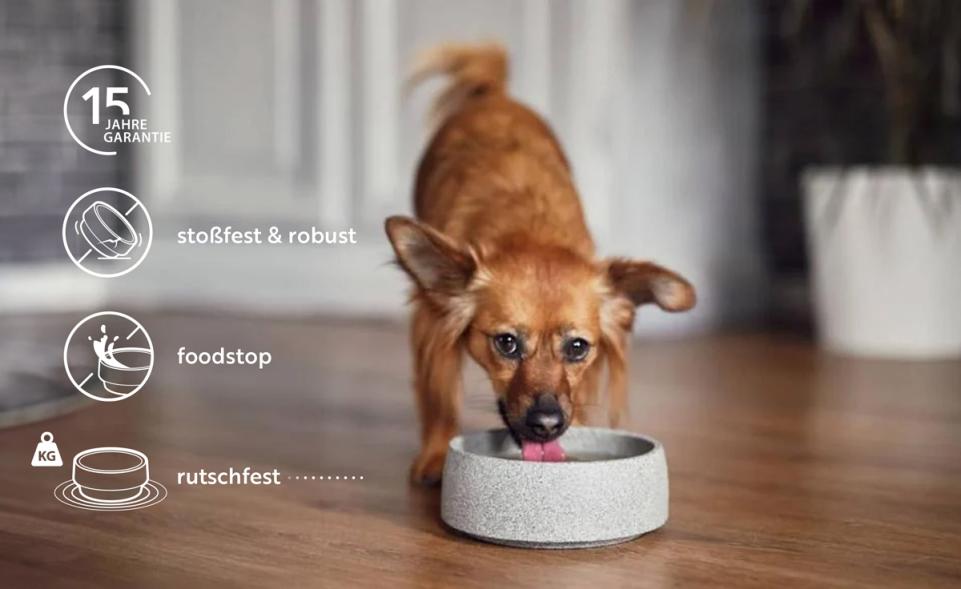 Piedra Viva Marmor Hundenapf - Luxus Napf Für Mittelgroße & Große Hunde | 600 Ml, Rutschfest