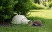 Hedgehog House