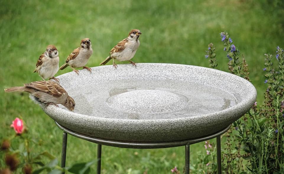 Vogeltränke Granicium® mit Ständer DENK Keramik