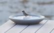 Bird Bath Granicium®