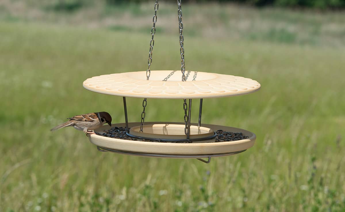 Bird table online