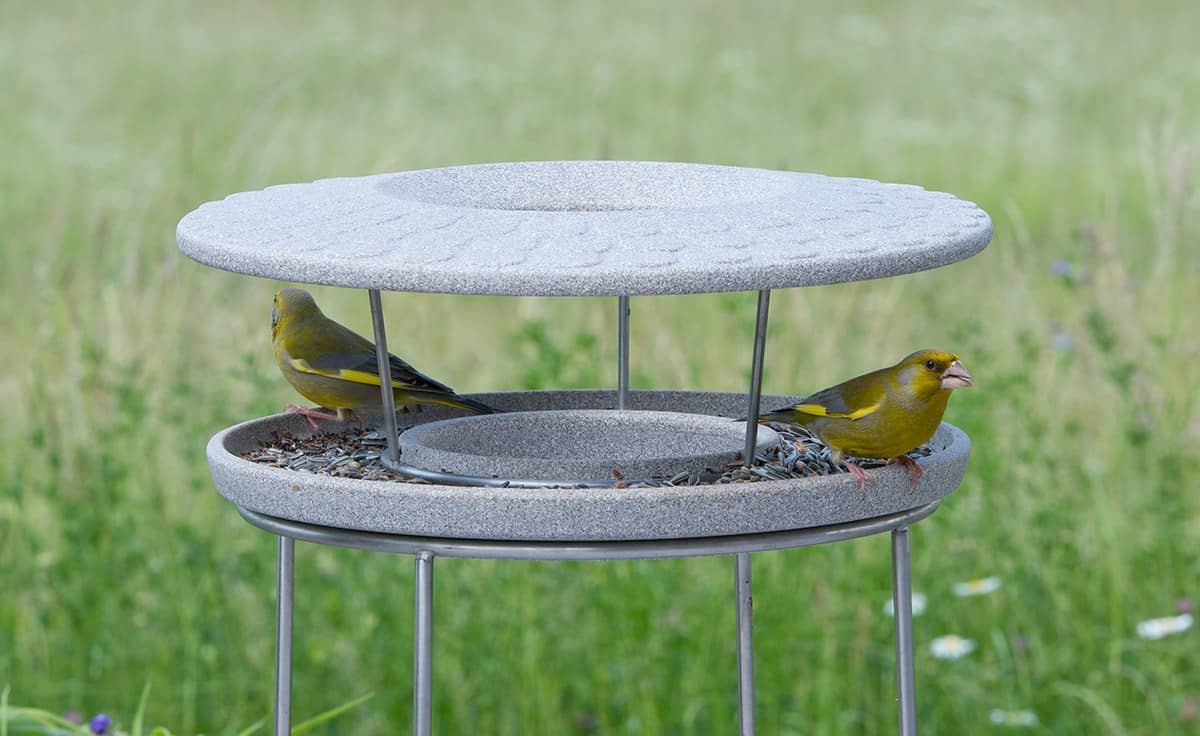 Vogelhaus zum Aufhängen - Vogelfutterhaus ohne Ständer